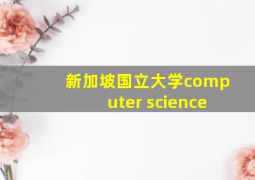 新加坡国立大学computer science